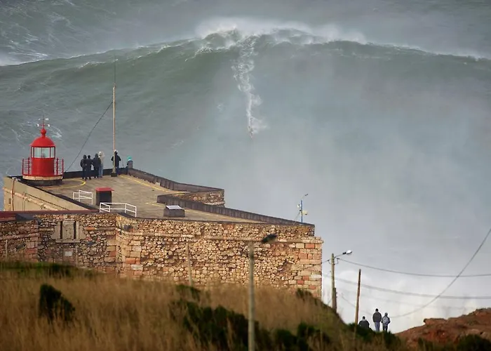 Casa Ameixa * Alcobaca